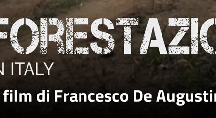 Docufilm “Deforestazione Made in Italy”