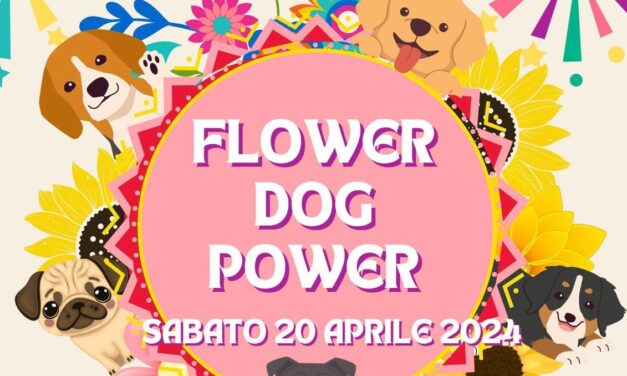 Flower Dog Power