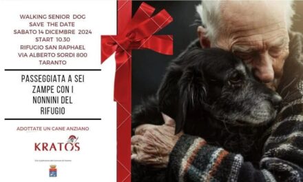 “Walking Senior Dog”, passeggiata “a sei zampe” al canile di Taranto